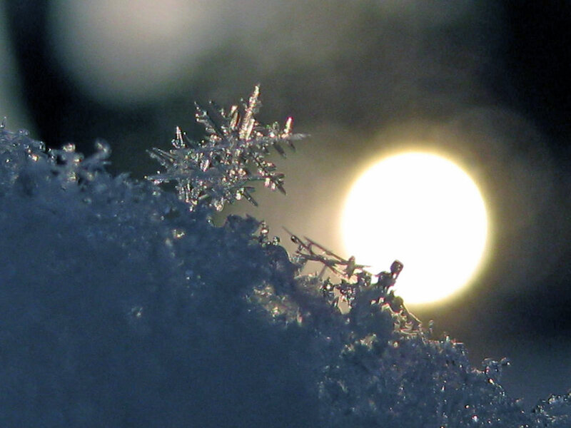 Snowflake on Snow — White