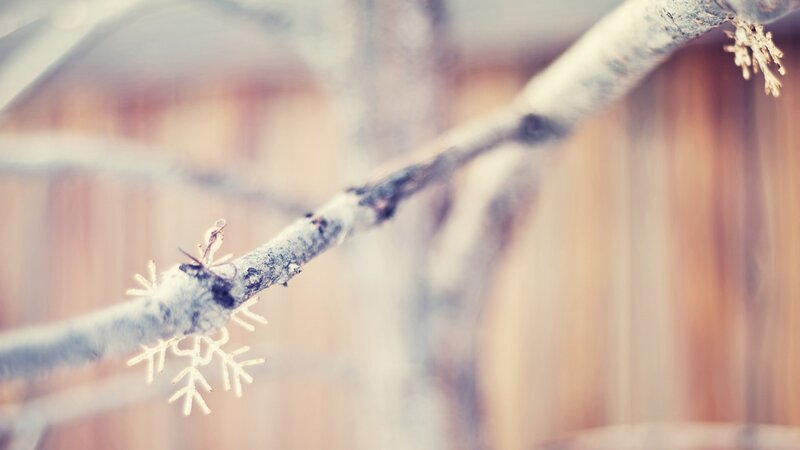 Snowflake on Tree Branch — White