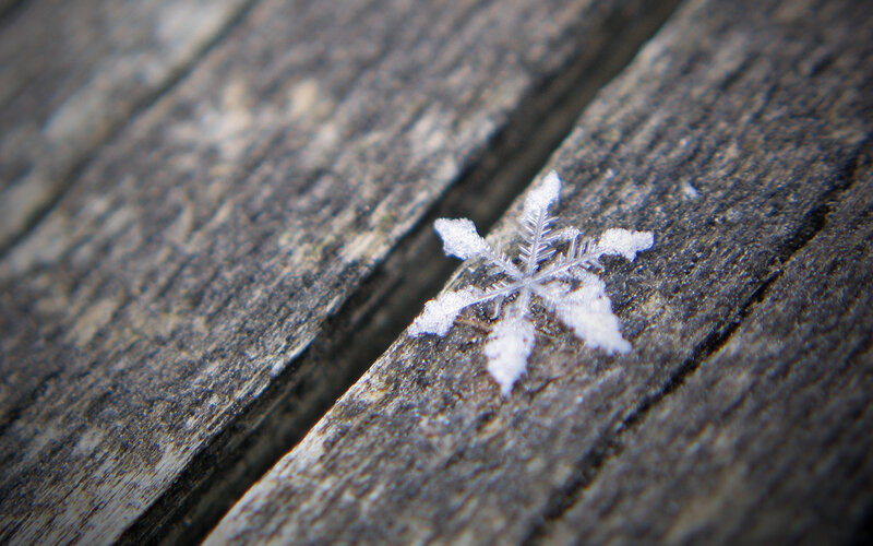 Snowflake on wooden surface