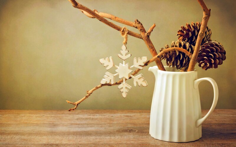 Snowflake Ornament on Branch