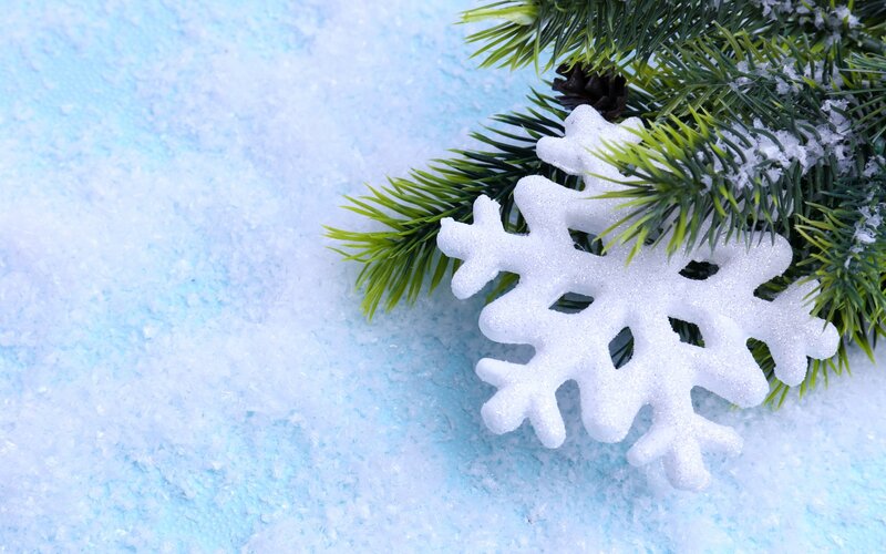 Snowflake Ornament on Pine