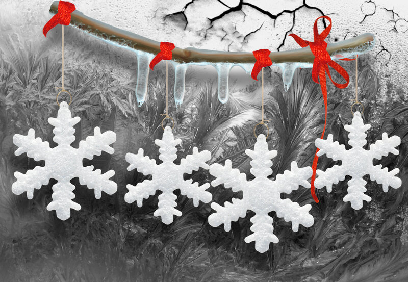 Snowflake Ornaments on Branch