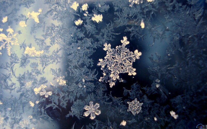 Snowflake Patterns on Glass — Blue