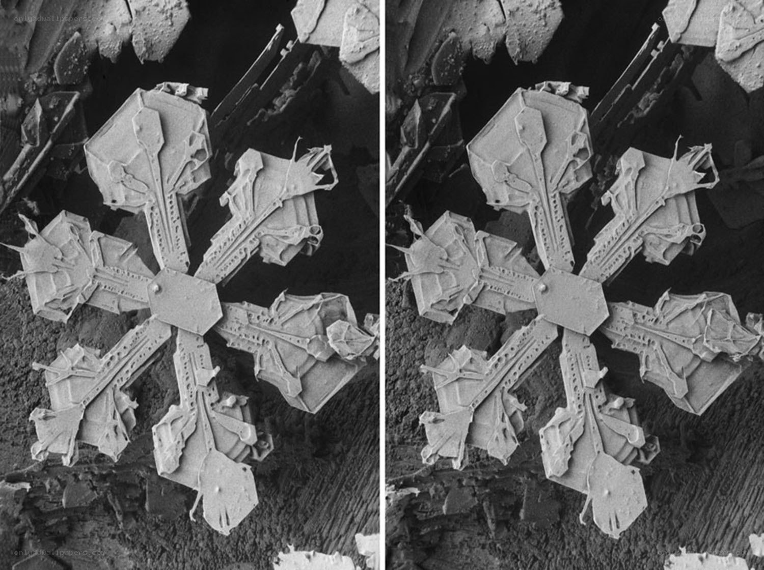 snowflake under microscope