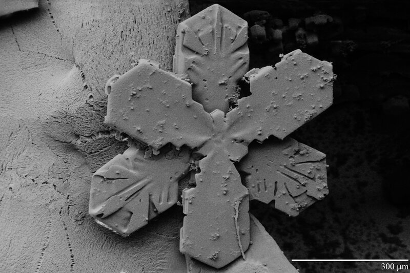 Snowflake under Microscope — Black