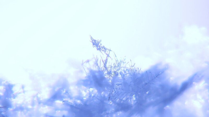 Snowflake under Microscope — Blue, Cold