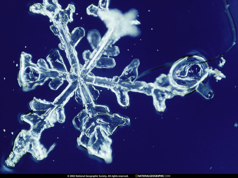 Snowflake under Microscope — Blue, Dramatic