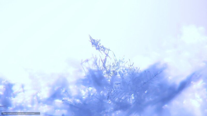 Snowflake under Microscope — Blue