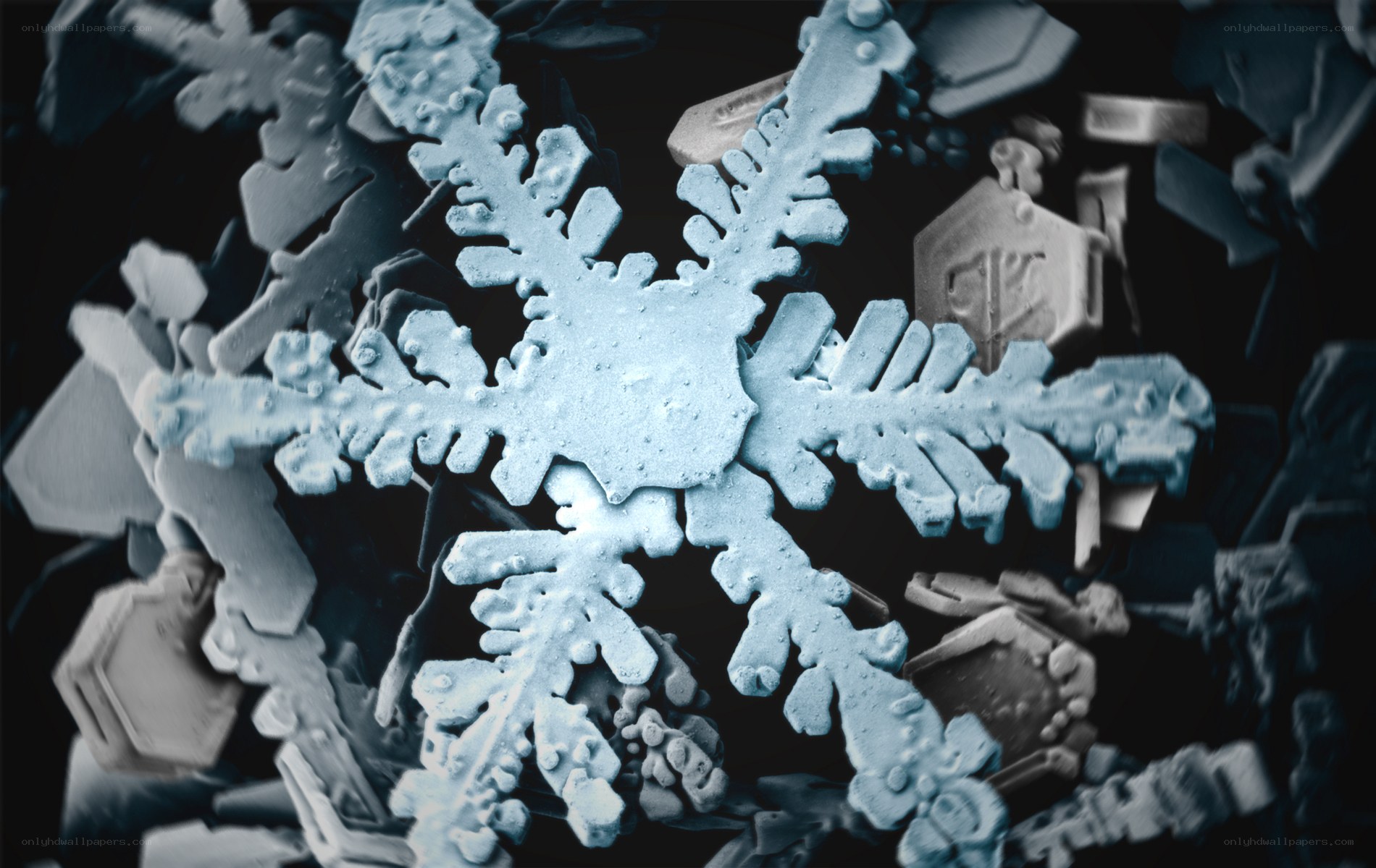 Snowflake under microscope