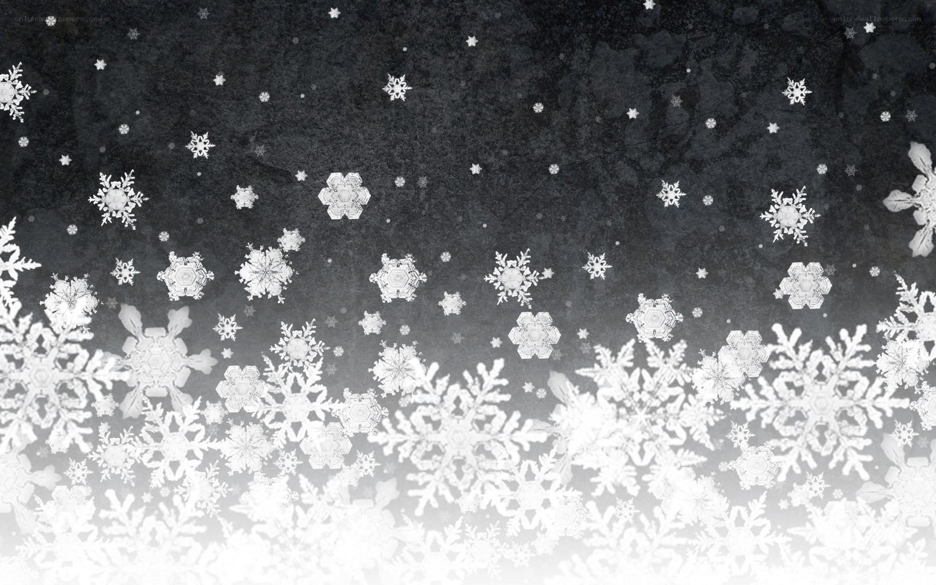 snowflake winter background