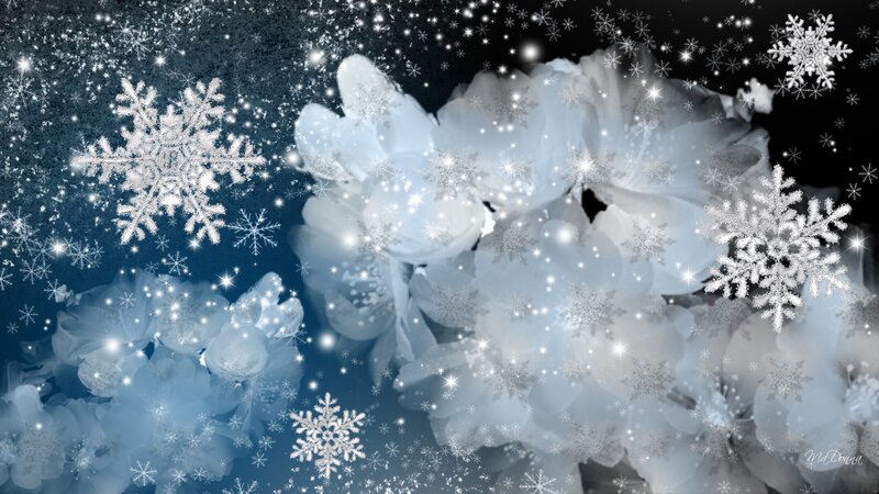 Snowflakes and Flowers