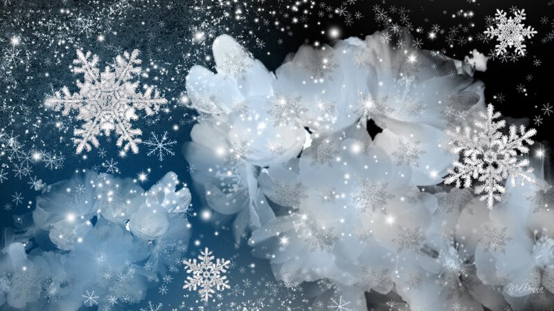 Snowflakes and Flowers — White