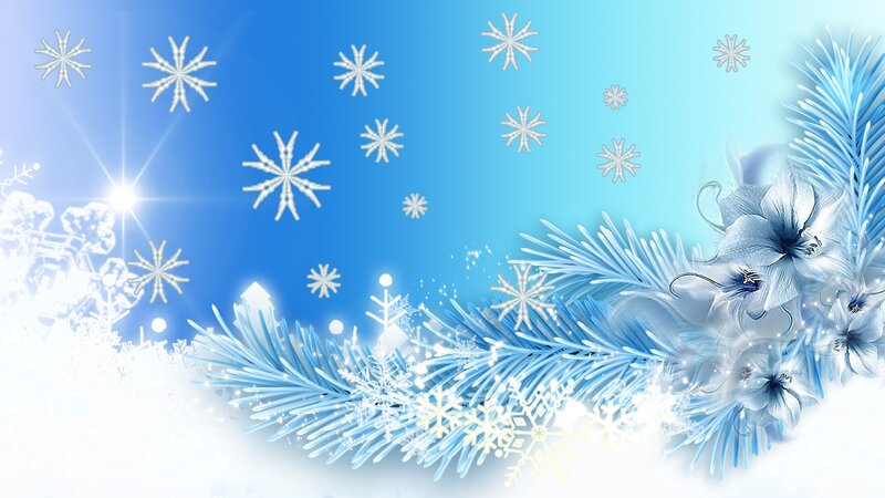 Snowflakes and Pine Branches