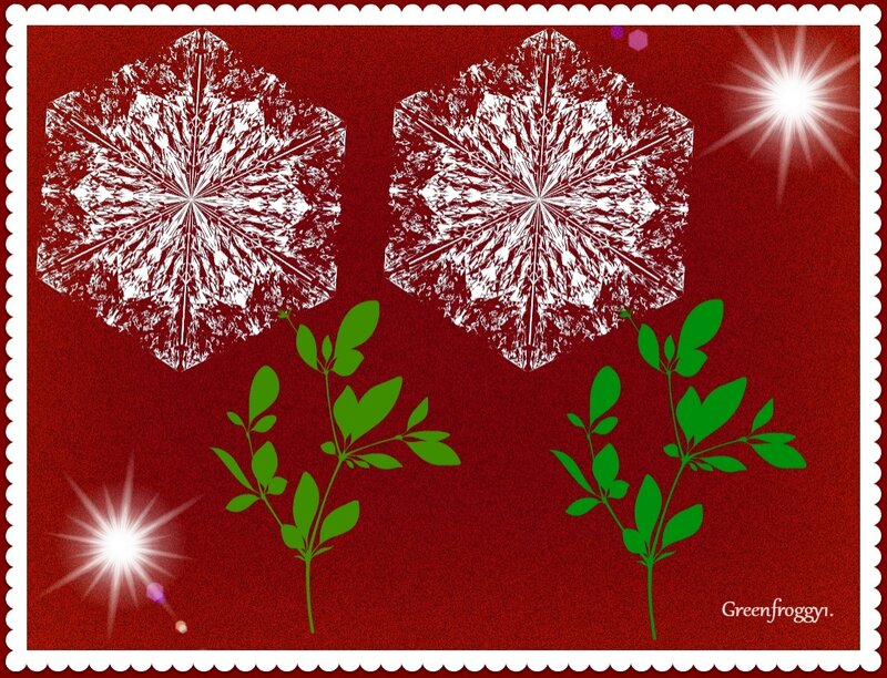 Snowflakes and Plants