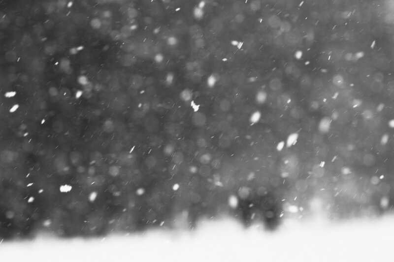 Snowflakes Falling — Black