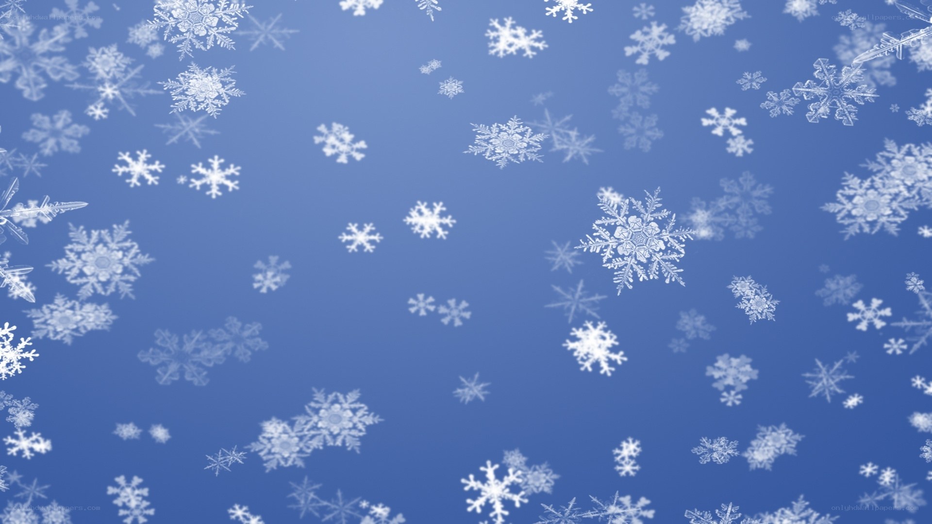 snowflakes falling in blue sky