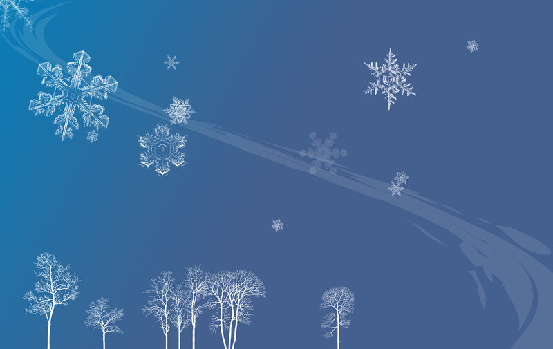 snowflakes falling in winter
