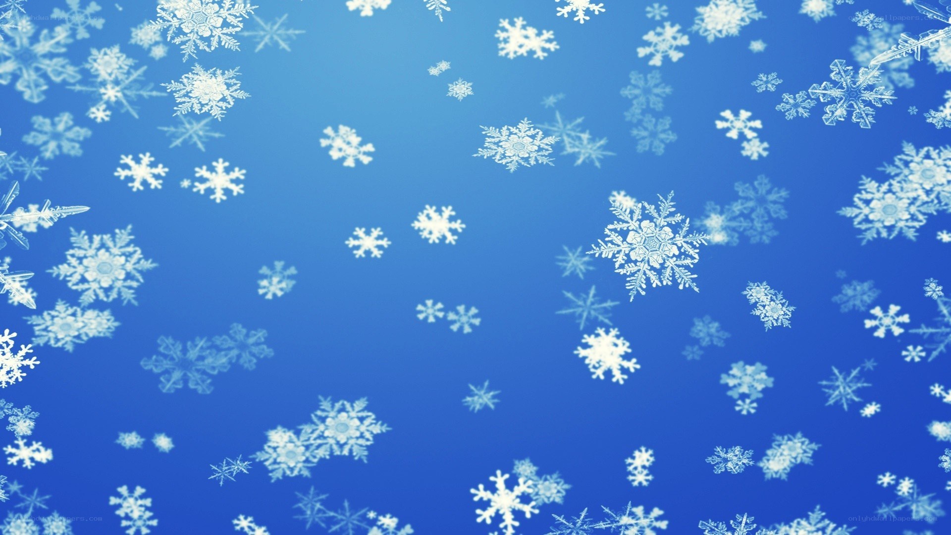 snowflakes falling on blue