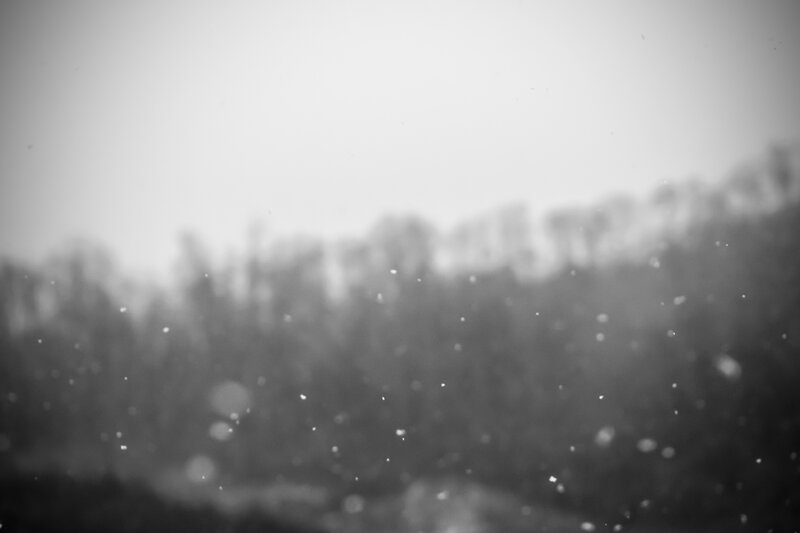 Snowflakes in Air — Black