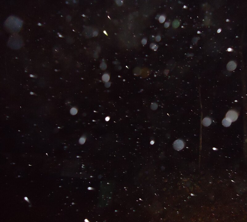 Snowflakes in Air