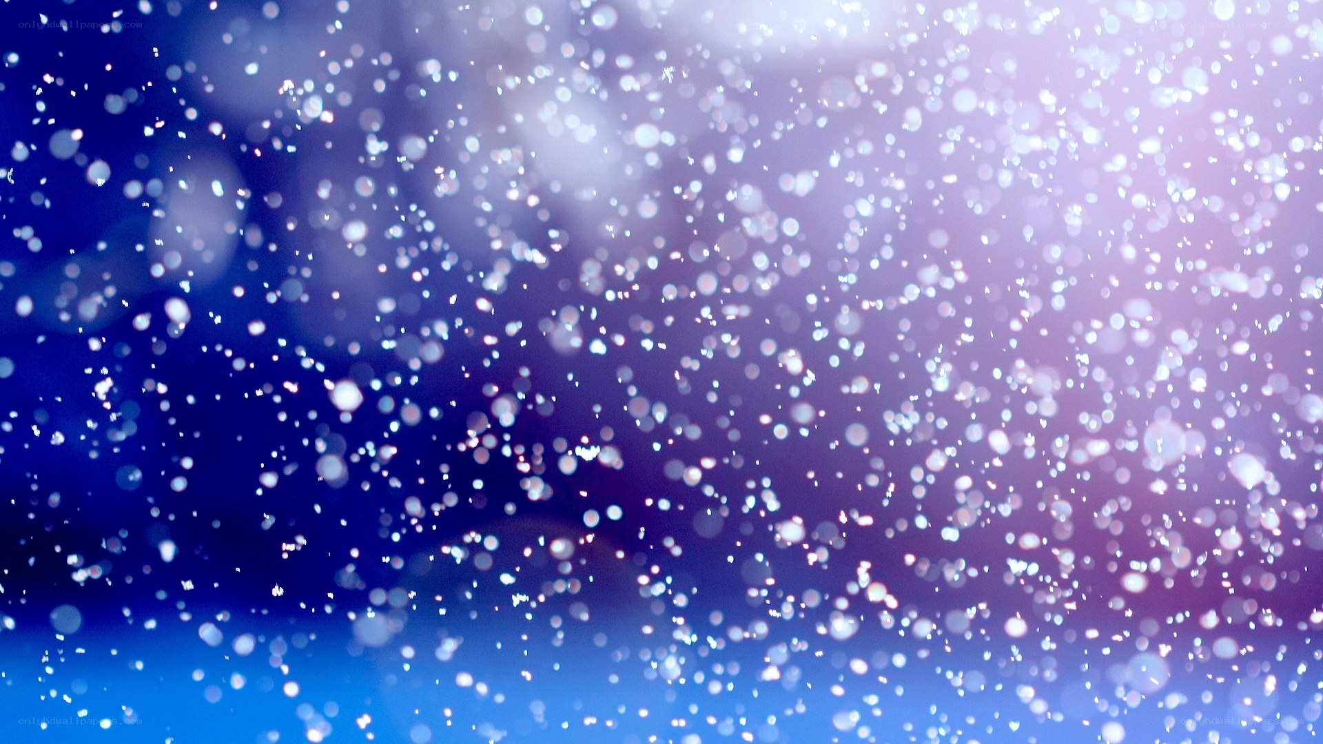 Snowflakes in blue light
