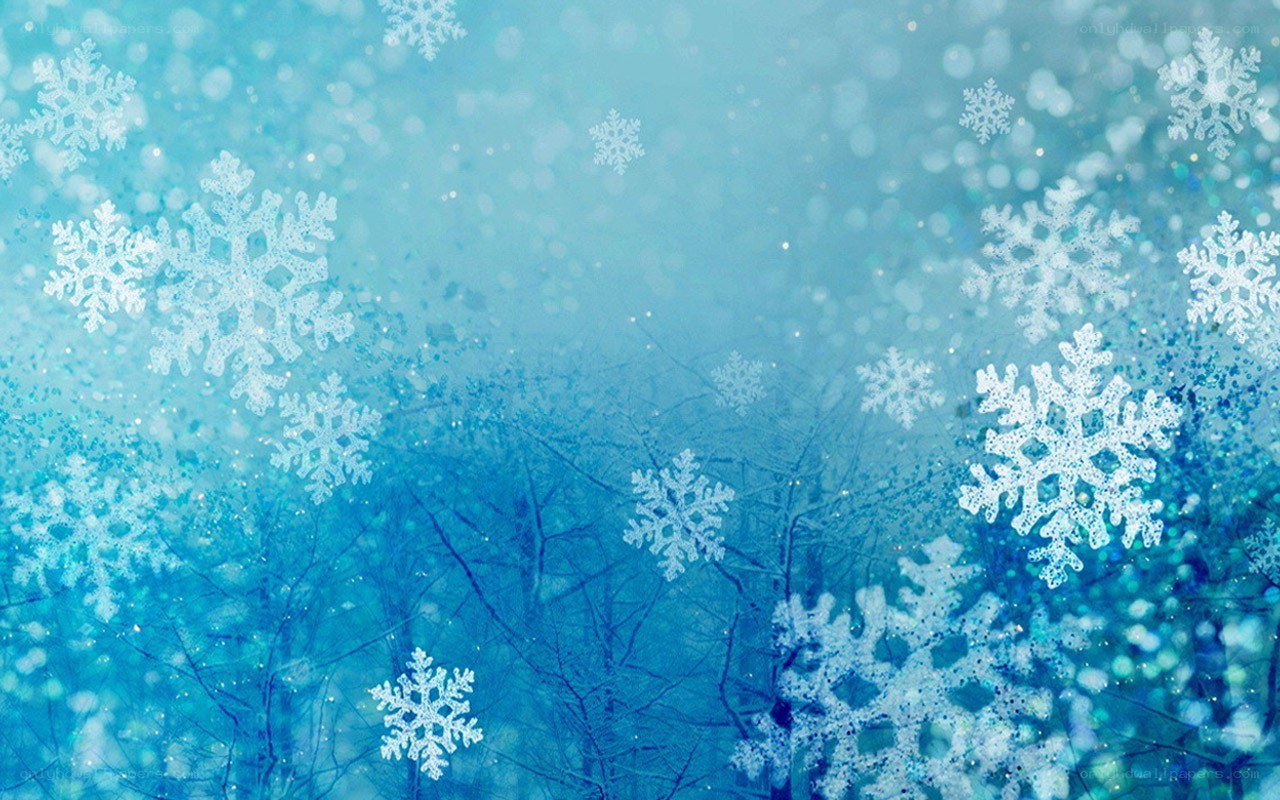 snowflakes in winter forest