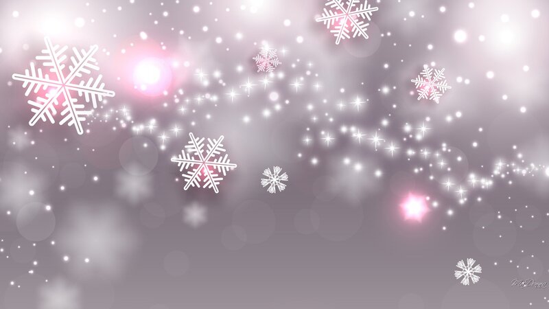 Snowflakes in Winter