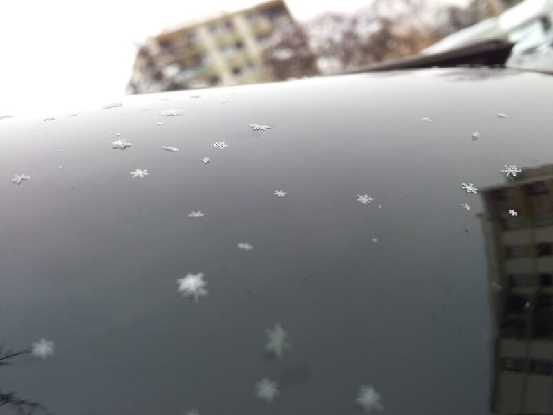 Snowflakes on a car hood