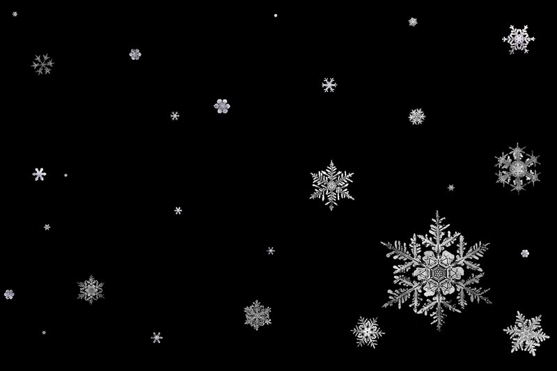 Snowflakes on Black Background — Calm