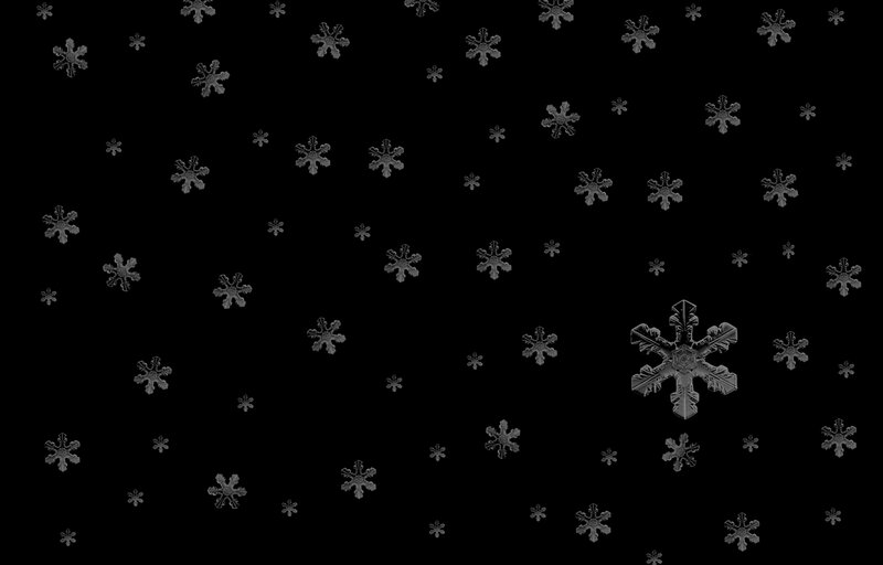 Snowflakes on Black Background — Calm, Winter, Photograph