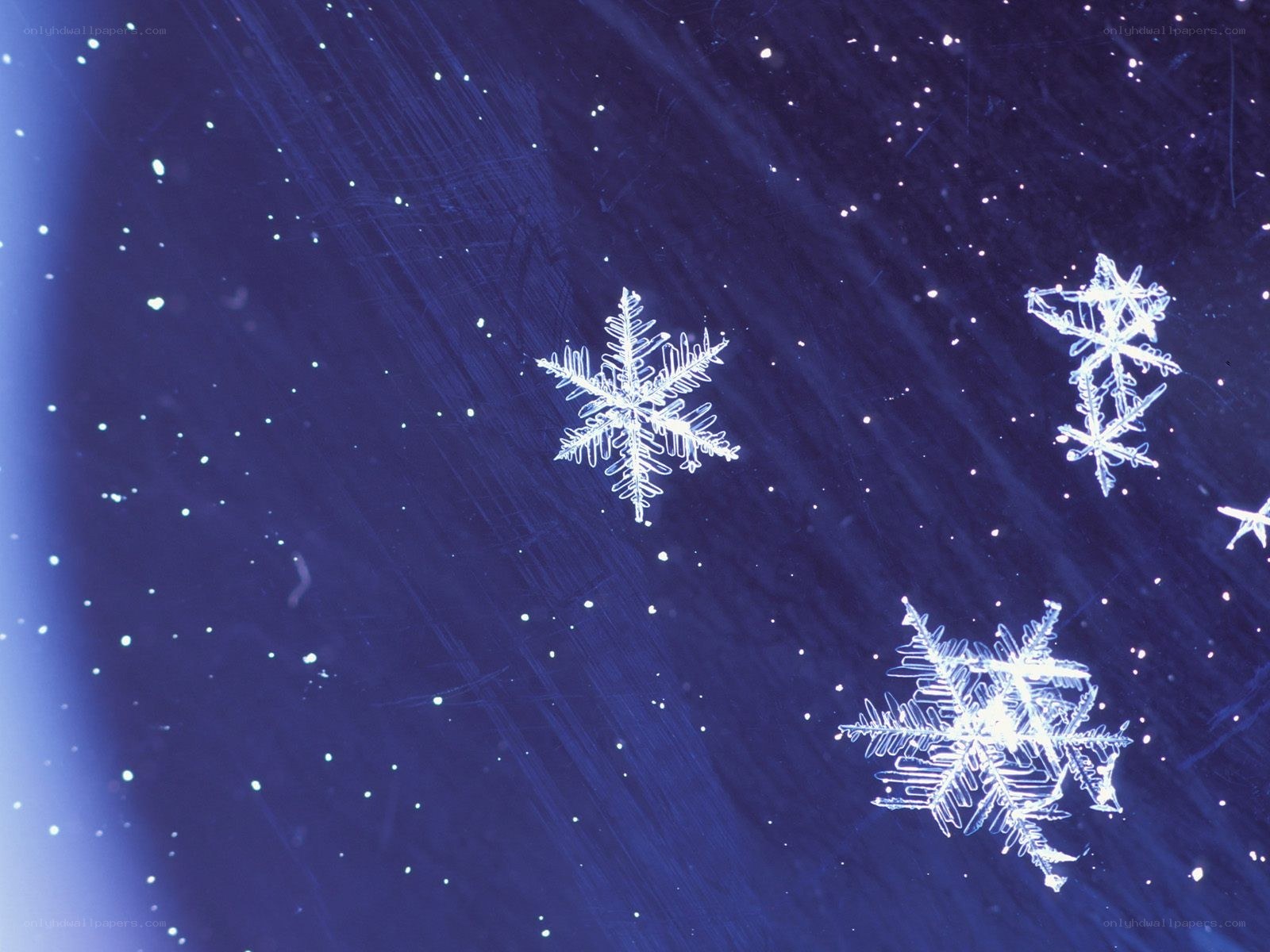 Snowflakes on dark blue background
