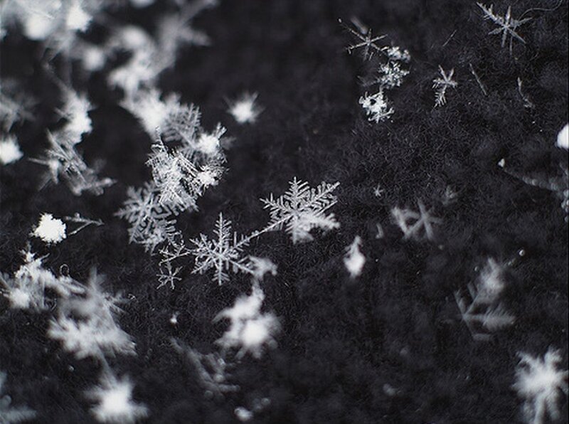 Snowflakes on Dark Surface — Black