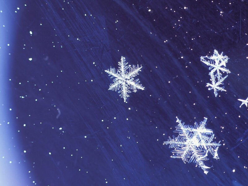 Snowflakes on Dark Surface — Blue, Calm, Night