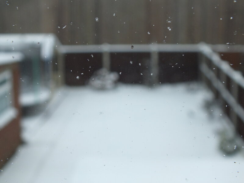 Snowflakes on Glass