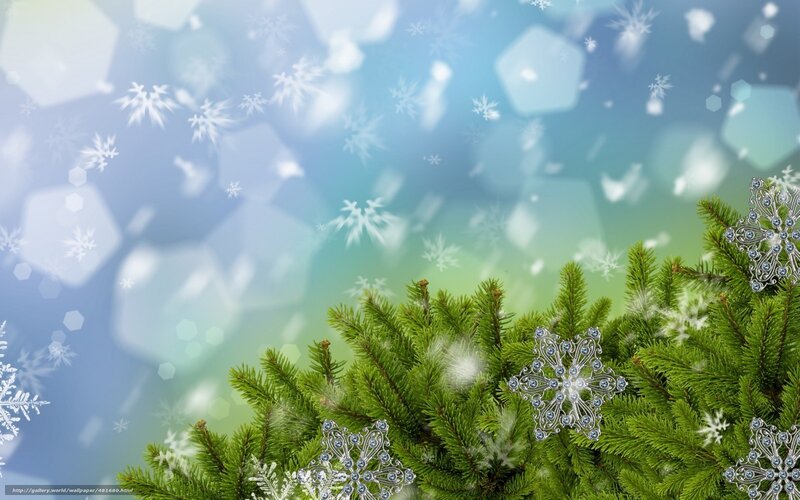 snowflakes on pine branches