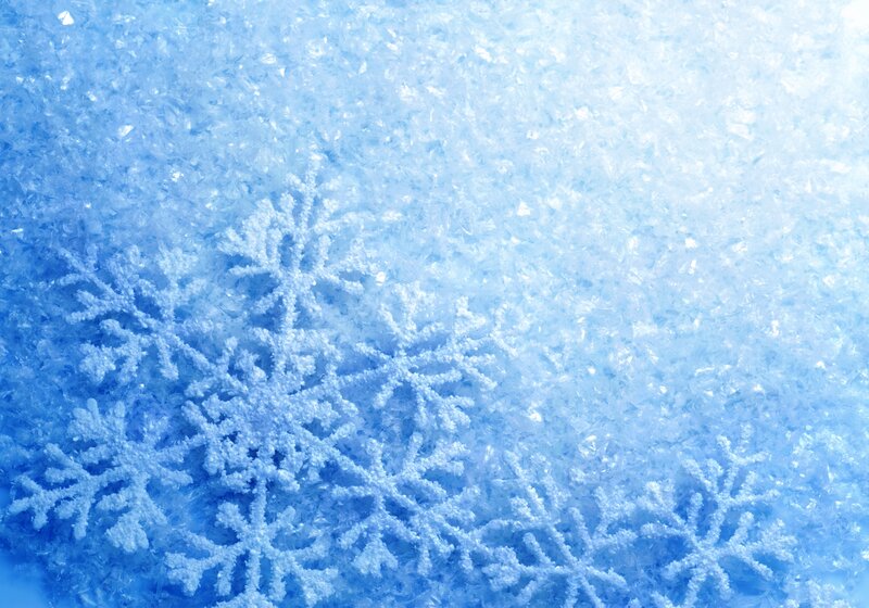 Snowflakes on Snow