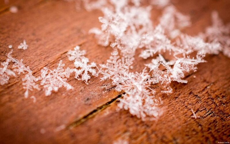 Snowflakes on Wood