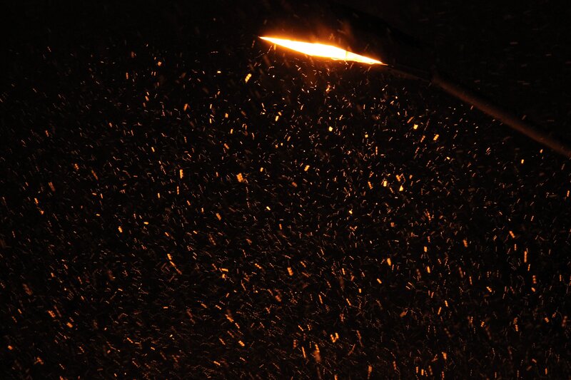 Snowflakes under Streetlight