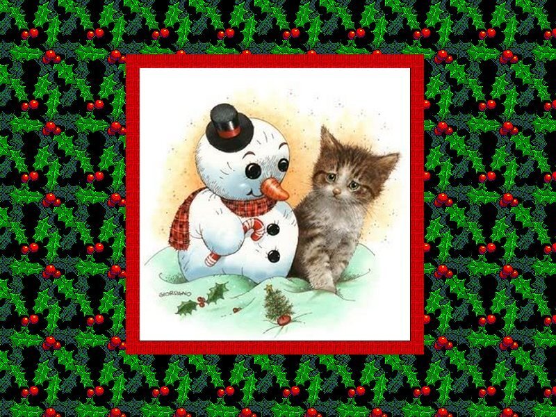 Snowman and Kitten