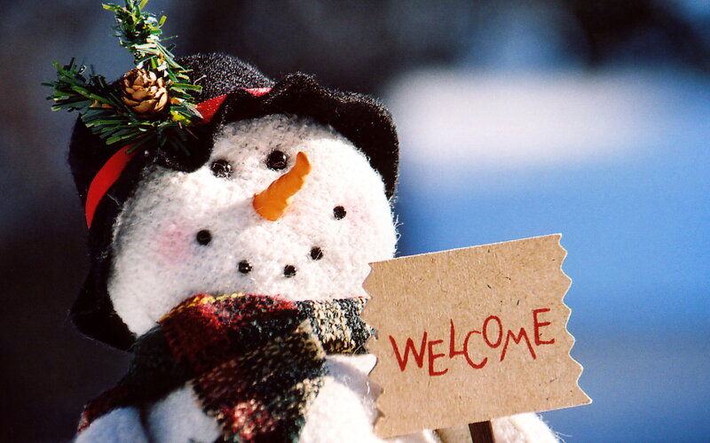 Snowman Figurine — White, Festive, Winter, Photograph, Pine Cone