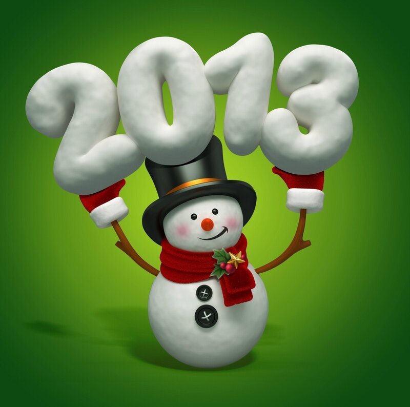 Snowman Holding 2013