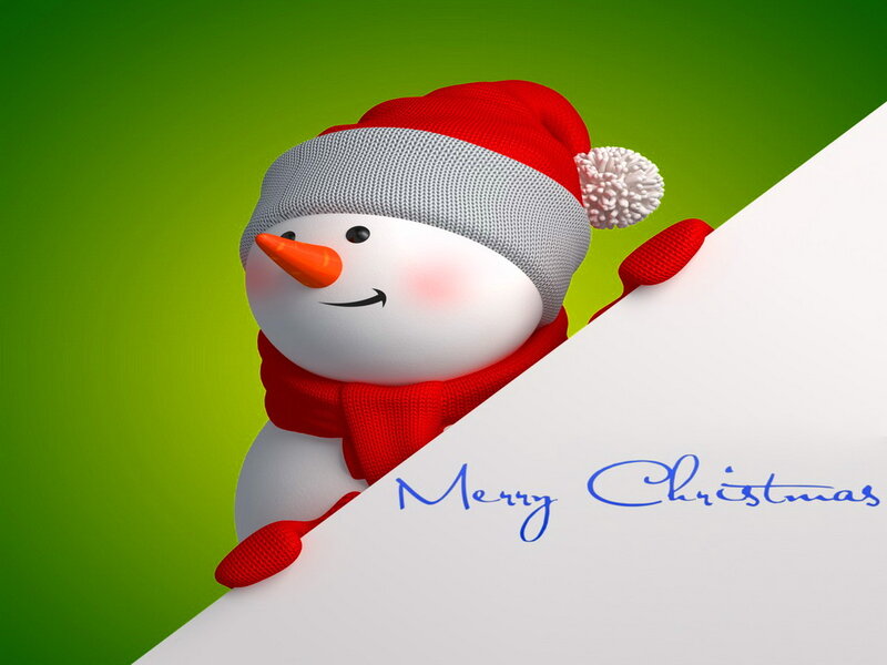 Snowman Holding Sign — Green, Festive