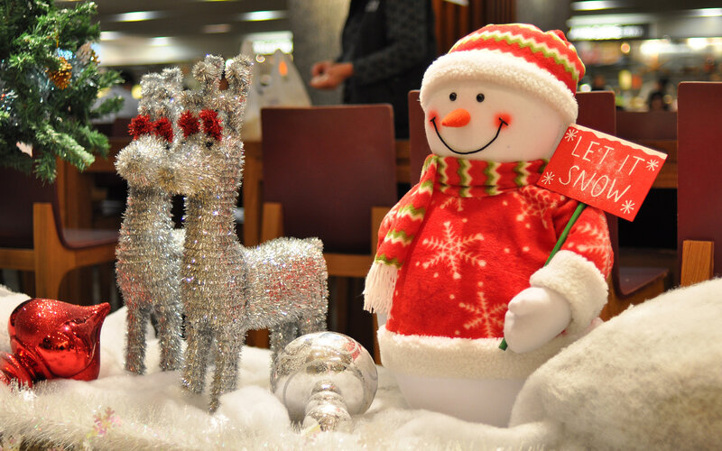 Snowman Holding Sign — Red, Festive