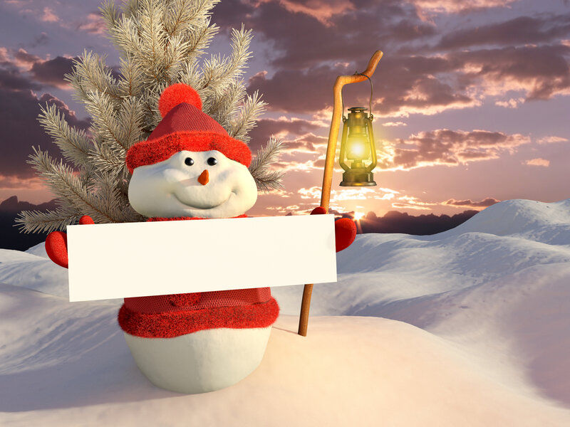 Snowman Holding Sign — White, Serene