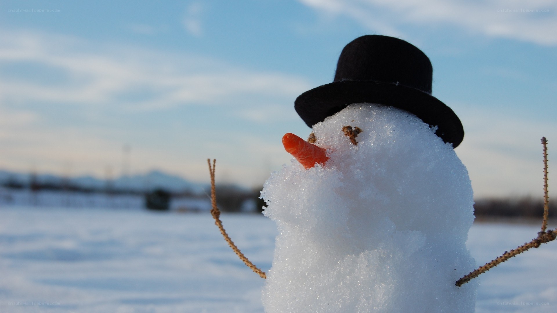 Snowman in a winter landscape