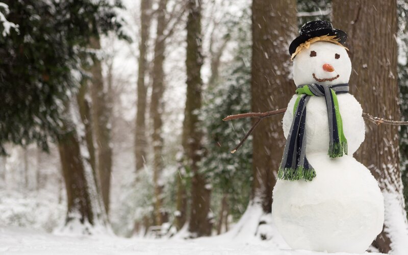 Snowman in Forest — White, Peaceful