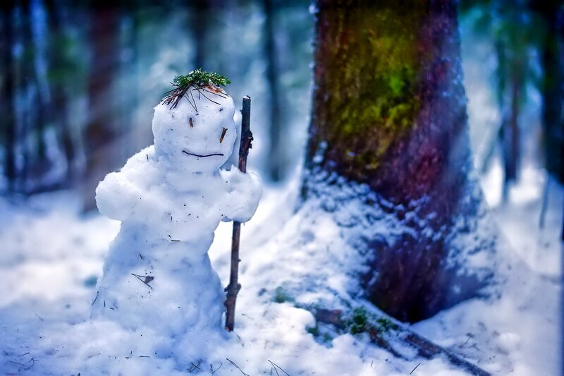 Snowman in Forest — White