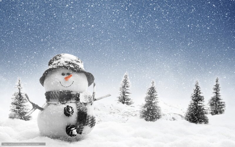 Snowman in Snow — White, Calm, Winter, Photograph, Trees