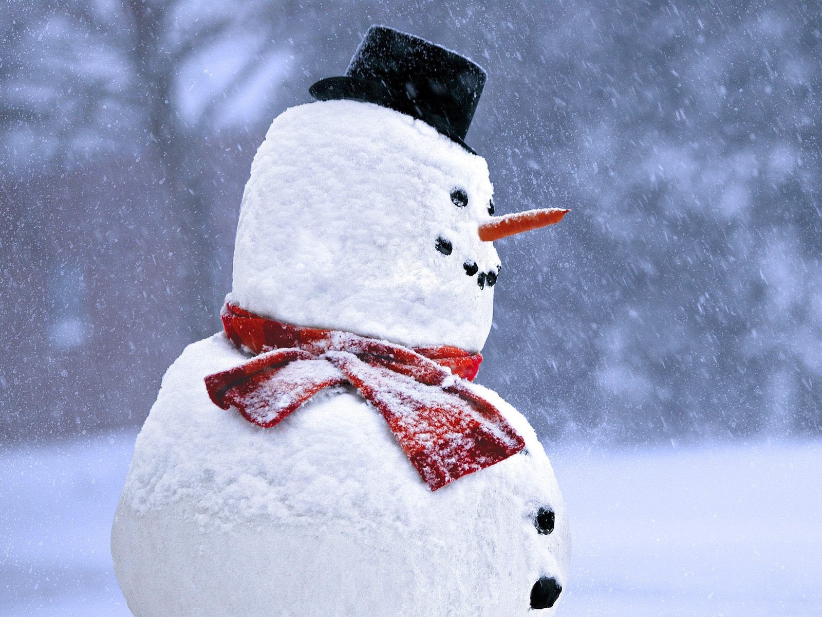 Snowman in snowfall