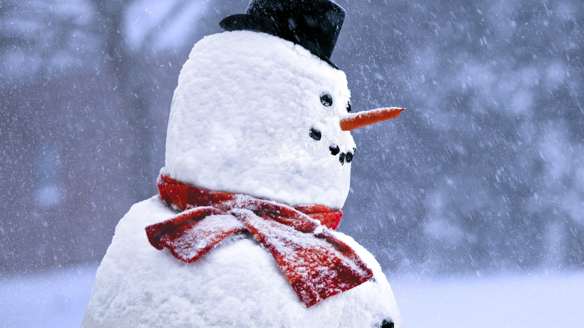 snowman in snowstorm